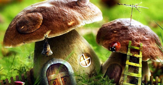 Mushroom Houses Of Charlevoix