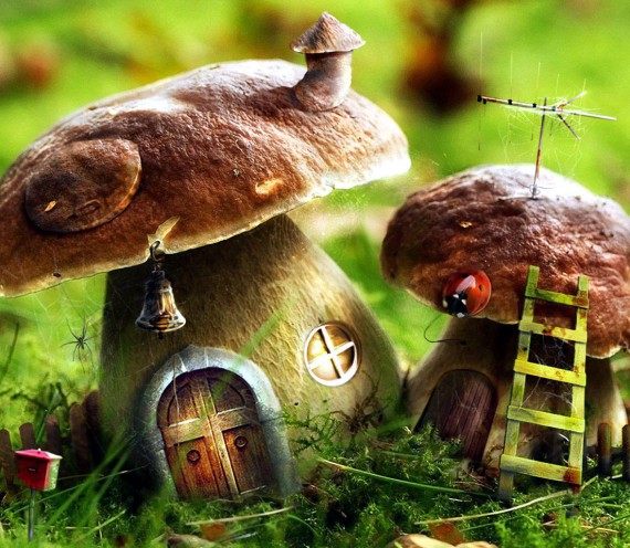 Mushroom Houses Of Charlevoix